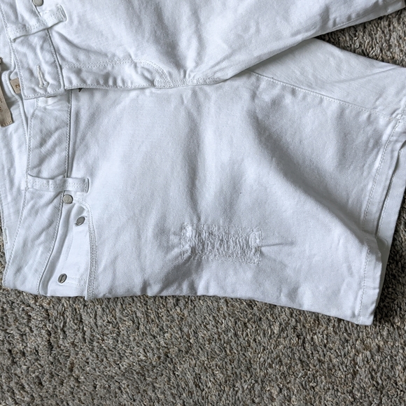 Max Studio Shorts - Picture 3 of 8